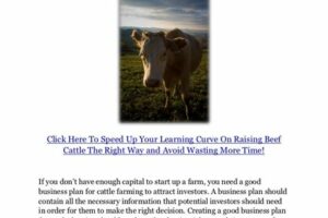 ginger farming business plan pdf